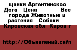 щенки Аргентинскоо Дога › Цена ­ 25 000 - Все города Животные и растения » Собаки   . Кировская обл.,Киров г.